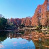 宁夏网友48162