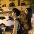 QQ头像