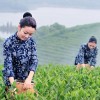 北京网友96422