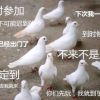 网友昵称：蜘蛛