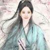 重庆网友91027
