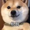 评论头像