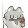 宁夏网友68993