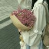 内蒙古网友50538