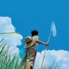 黑龙江网友90556