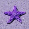 浙江网友25423