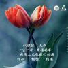 江苏网友70856