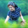 青海网友92739