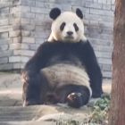 QQ头像