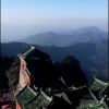 河北网友41607