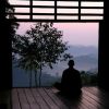 吉林网友36599