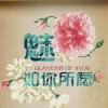 上海网友19094