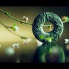 江西网友28681