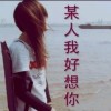 海南网友45419