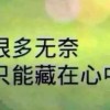 宁夏网友70177