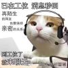 评论头像