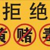 江苏网友54561