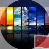 onlyangli的头像-Xyner
