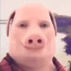 QQ头像