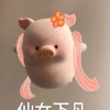 湖北网友60646