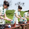 新疆网友23227