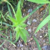 上海网友22425