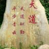 春满乾坤