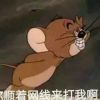 陕西网友76173