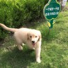 河北网友66540
