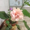 云南网友54712