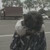 山东网友34866