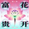 贵州网友13436