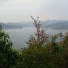 青海网友77252