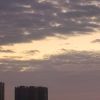 陕西网友14471