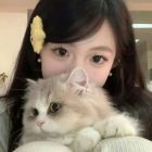 QQ头像