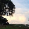 广西网友40617