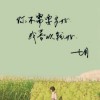 贵州网友33319
