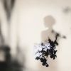 广西网友43040