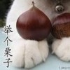 内蒙古网友83294
