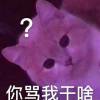 四川网友86984