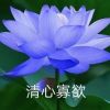 云南网友35969
