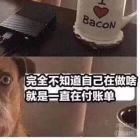 QQ头像