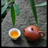 广西网友95612