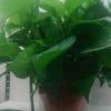 天津网友98884