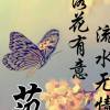 安徽网友72976