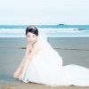 青海网友12348