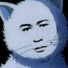 河北网友92565