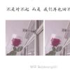吉林网友68666