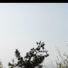 上海网友87166