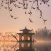 海南网友54257